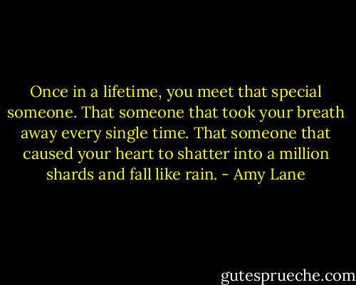 Once in a lifetime, you meet that special someone. That someone that took your breath away every single time. That someone that caused your heart to shatter into a million shards and fall like rain. - Amy Lane