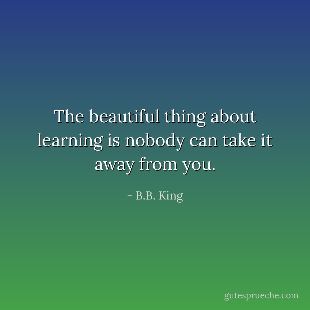 The beautiful thing about learning is nobody can take it away from you. - B.B. King