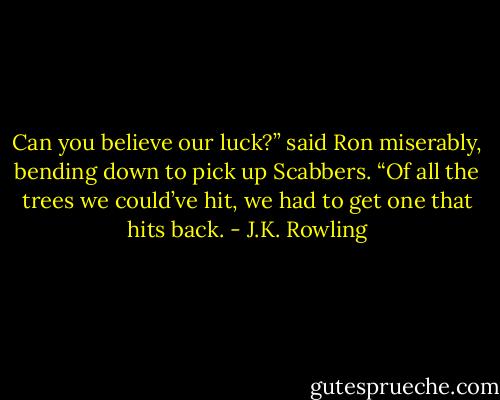 Can you believe our luck?” said Ron miserably, bending down to pick up Scabbers. “Of all the trees we could’ve hit, we had to get one that hits back. - J.K. Rowling