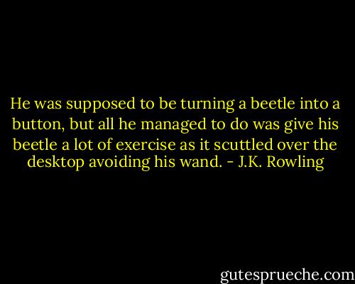 He was supposed to be turning a beetle into a button, but all he managed to do was give his beetle a lot of exercise as it scuttled over the desktop avoiding his wand. - J.K. Rowling