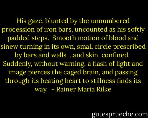 His gaze, blunted<br />by the unnumbered procession<br />of iron bars, uncounted<br />as his softly padded steps.<br /><br />Smooth motion of blood and sinew<br />turning in its own, small circle<br />prescribed by bars and walls<br />...and skin, confined.<br /><br />Suddenly, without warning,<br />a flash of light and image<br />pierces the caged brain,<br />and passing through its beating heart<br />to stillness finds its way.  - Rainer Maria Rilke