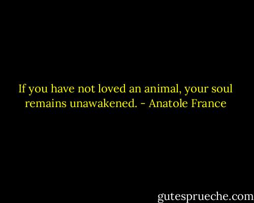 If you have not loved an animal, your soul remains unawakened. - Anatole France