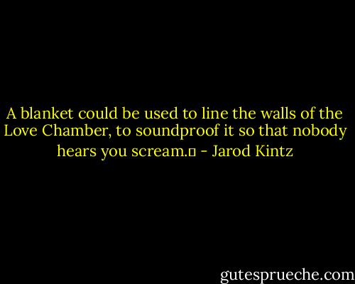 A blanket could be used to line the walls of the Love Chamber, to soundproof it so that nobody hears you scream.  - Jarod Kintz