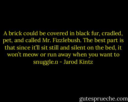 A brick could be covered in black fur, cradled, pet, and called Mr. Fizzlebush. The best part is that since it’ll sit still and silent on the bed, it won’t meow or run away when you want to snuggle.  - Jarod Kintz
