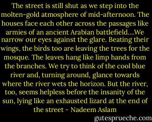 The street is still shut as we step into the molten-gold atmosphere of mid-afternoon. The houses face each other across the passages like armies of an ancient Arabian battlefield….We narrow our eyes against the glare. Beating their wings, the birds too are leaving the trees for the mosque. The leaves hang like limp hands from the branches. We try to think of the cool blue river and, turning around, glance towards where the river wets the horizon. But the river, too, seems helpless before the insanity of the sun, lying like an exhausted lizard at the end of the street - Nadeem Aslam