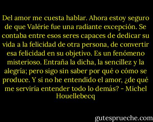 Del amor me cuesta hablar. Ahora estoy seguro de que Valérie fue una radiante excepción. Se contaba entre esos seres capaces de dedicar su vida a la felicidad de otra persona, de convertir esa felicidad en su objetivo. Es un fenómeno misterioso. Entraña la dicha, la sencillez y la alegría; pero sigo sin saber por qué o cómo se produce. Y si no he entendido el amor, ¿de qué me serviría entender todo lo demás? - Michel Houellebecq