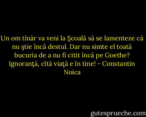 Un om tînăr va veni la Şcoală să se lamenteze că nu ştie încă destul. Dar nu simte el toată bucuria de a nu fi citit încă pe Goethe? Ignoranţă, cîtă viaţă e în tine! - Constantin Noica