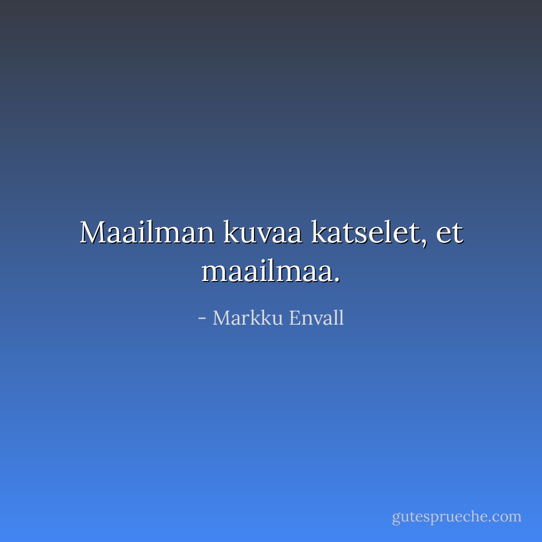 Maailman kuvaa katselet, et maailmaa. - Markku Envall
