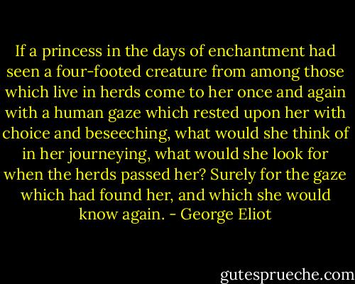 If a princess in the days of enchantment had seen a four-footed creature from among those which live in herds come to her once and again with a human gaze which rested upon her with choice and beseeching, what would she think of in her journeying, what would she look for when the herds passed her? Surely for the gaze which had found her, and which she would know again. - George Eliot
