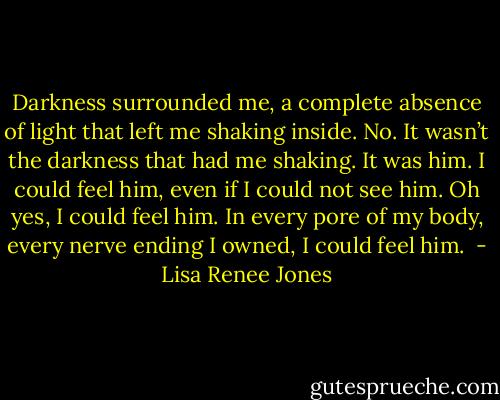 Darkness surrounded me, a complete absence of light that left me shaking inside. No. It wasn’t the darkness that had me shaking. It was him. I could feel him, even if I could not see him. Oh yes, I could feel him. In every pore of my body, every nerve ending I owned, I could feel him.  - Lisa Renee Jones