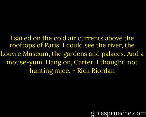 I sailed on the cold air currents above the rooftops of Paris. I could see the river, the Louvre Museum, the gardens and palaces. And a mouse-yum. Hang on, Carter, I thought. not hunting mice. - Rick Riordan