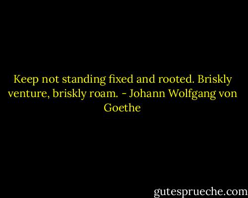 Keep not standing fixed and rooted. Briskly venture, briskly roam. - Johann Wolfgang von Goethe