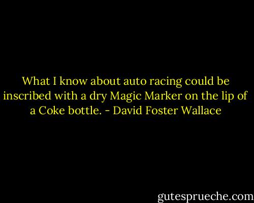 What I know about auto racing could be inscribed with a dry Magic Marker on the lip of a Coke bottle. - David Foster Wallace