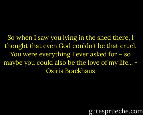 So when I saw you lying in the shed there, I thought that even God couldn't be that cruel. You were everything I ever asked for – so maybe you could also be the love of my life... - Osiris Brackhaus
