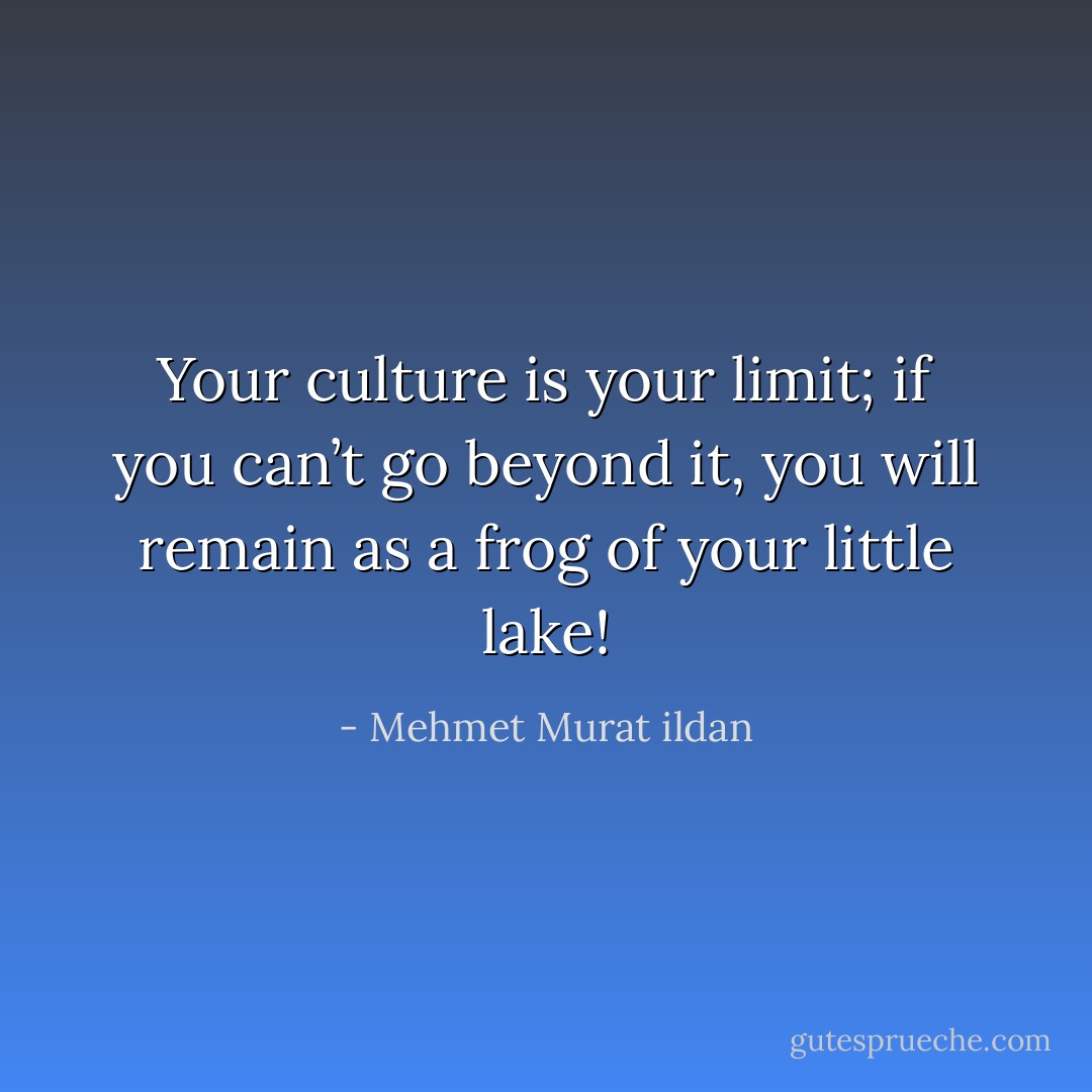 Your culture is your limit; if you can’t go beyond it, you will remain as a frog of your little lake! - Mehmet Murat ildan