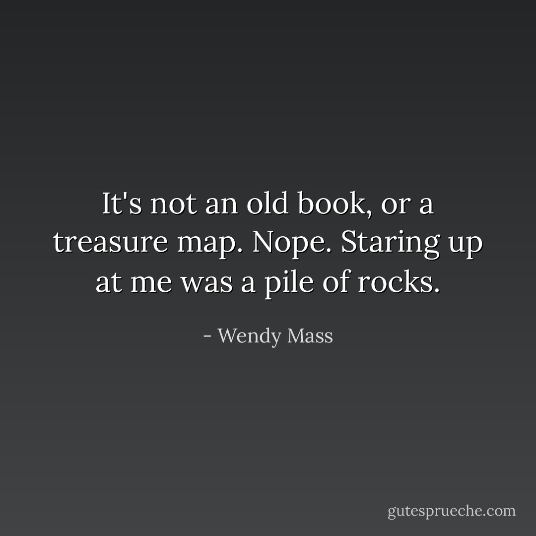 It's not an old book, or a treasure map. Nope. Staring up at me was a pile of rocks. - Wendy Mass