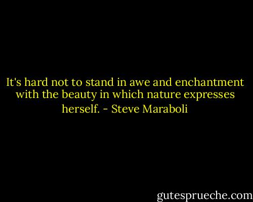 It's hard not to stand in awe and enchantment with the beauty in which nature expresses herself. - Steve Maraboli