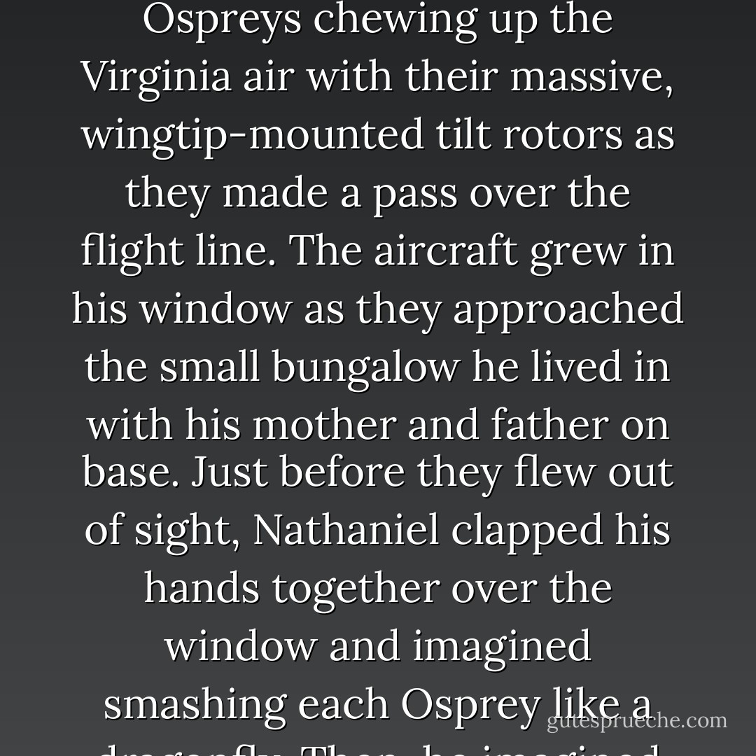 From his bedroom window on the Marine Corps Base in Quantico, Nathaniel Dixon watched in awe at the four-ship formation of V-22 Ospreys chewing up the Virginia air with their massive, wingtip-mounted tilt rotors as they made a pass over the flight line. The aircraft grew in his window as they approached the small bungalow he lived in with his mother and father on base. Just before they flew out of sight, Nathaniel clapped his hands together over the window and imagined smashing each Osprey like a dragonfly. Then, he imagined each falling to earth in flames, smashing in a great ball of fire in his backyard. - Jonathan Marker