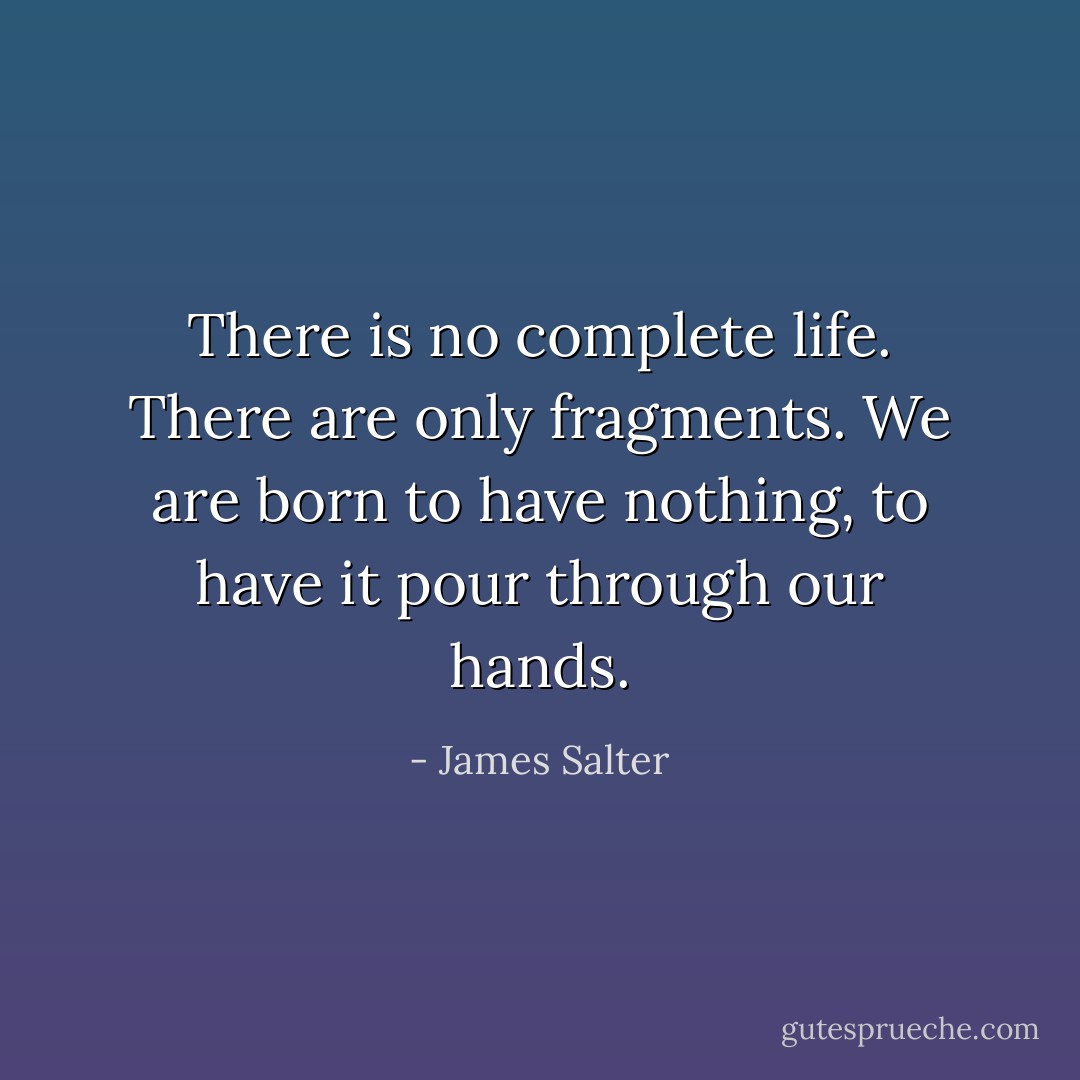 There is no complete life. There are only fragments. We are born to have nothing, to have it pour through our hands. - James Salter