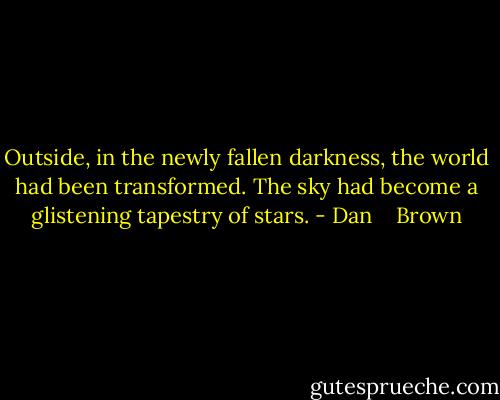 Outside, in the newly fallen darkness, the world had been transformed. The sky had become a glistening tapestry of stars. - Dan    Brown