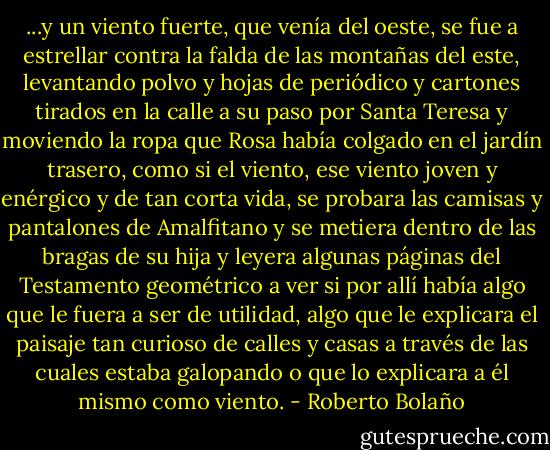 ...y un viento fuerte, que venía del oeste, se fue a estrellar contra la falda de las montañas del este, levantando polvo y hojas de periódico y cartones tirados en la calle a su paso por Santa Teresa y moviendo la ropa que Rosa había colgado en el jardín trasero, como si el viento, ese viento joven y enérgico y de tan corta vida, se probara las camisas y pantalones de Amalfitano y se metiera dentro de las bragas de su hija y leyera algunas páginas del Testamento geométrico a ver si por allí había algo que le fuera a ser de utilidad, algo que le explicara el paisaje tan curioso de calles y casas a través de las cuales estaba galopando o que lo explicara a él mismo como viento. - Roberto Bolaño