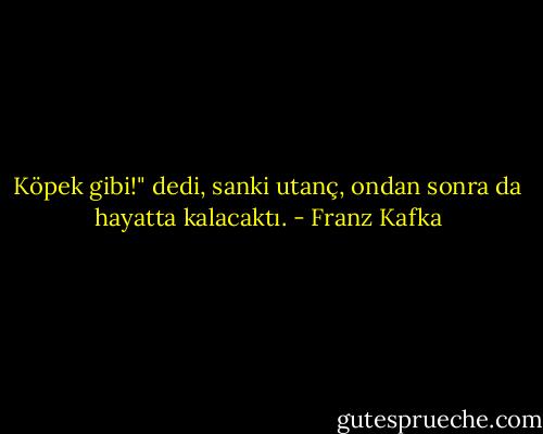 Köpek gibi!" dedi, sanki utanç, ondan sonra da hayatta kalacaktı. - Franz Kafka