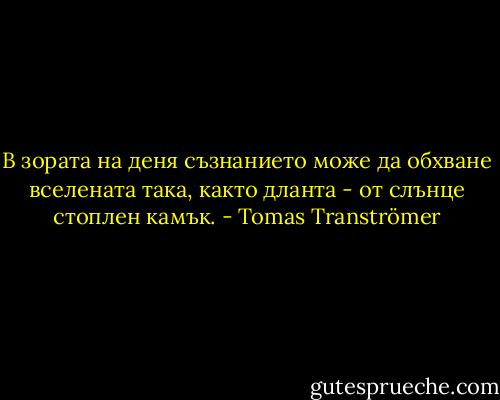 В зората на деня съзнанието може да обхване<br />вселената така, както дланта - от слънце стоплен<br />камък. - Tomas Tranströmer