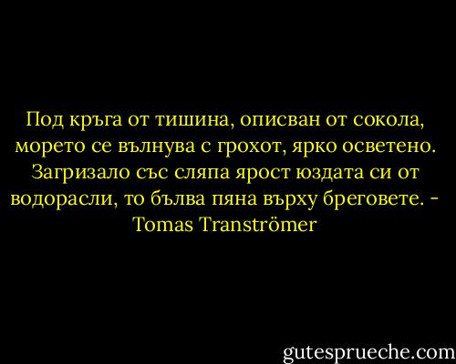 Под кръга от тишина, описван от сокола,<br />морето се вълнува с грохот, ярко осветено.<br />Загризало със сляпа ярост юздата си от водорасли,<br />то бълва<br />пяна върху бреговете. - Tomas Tranströmer