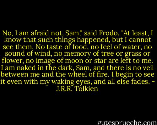 No, I am afraid not, Sam," said Frodo. "At least, I know that such things happened, but I cannot see them. No taste of food, no feel of water, no sound of wind, no memory of tree or grass or flower, no image of moon or star are left to me. I am naked in the dark, Sam, and there is no veil between me and the wheel of fire. I begin to see it even with my waking eyes, and all else fades. - J.R.R. Tolkien