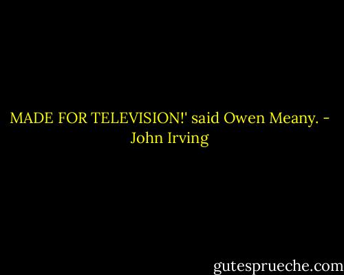 MADE FOR TELEVISION!' said Owen Meany. - John Irving