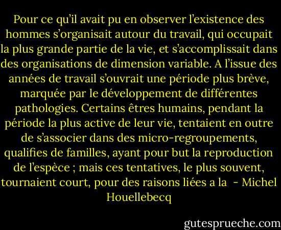 Pour ce qu’il avait pu en observer l’existence des hommes s’organisait autour du travail, qui occupait la plus grande partie de la vie, et s’accomplissait dans des organisations de dimension variable. A l’issue des années de travail s’ouvrait une période plus brève, marquée par le développement de différentes pathologies. Certains êtres humains, pendant la période la plus active de leur vie, tentaient en outre de s’associer dans des micro-regroupements, qualifies de familles, ayant pour but la reproduction de l’espèce ; mais ces tentatives, le plus souvent, tournaient court, pour des raisons liées a la  - Michel Houellebecq
