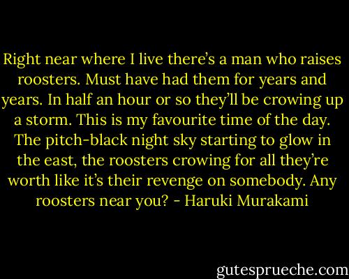 Right near where I live there’s a man who raises roosters. Must have had them for years and years. In half an hour or so they’ll be crowing up a storm. This is my favourite time of the day. The pitch-black night sky starting to glow in the east, the roosters crowing for all they’re worth like it’s their revenge on somebody. Any roosters near you? - Haruki Murakami