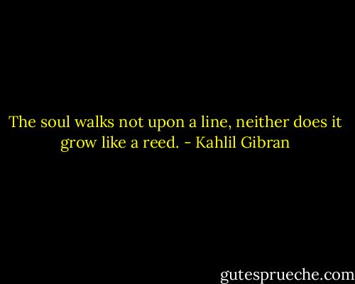 The soul walks not upon a line, neither does it grow like a reed. - Kahlil Gibran