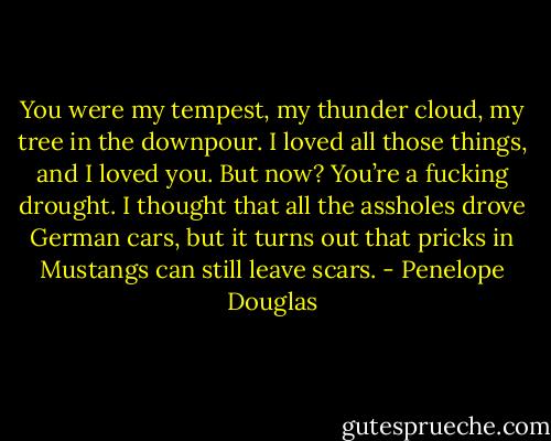 You were my tempest, my thunder cloud, my tree in the downpour. I loved all those things, and I loved you. But now? You’re a fucking drought. I thought that all the assholes drove German cars, but it turns out that pricks in Mustangs can still leave scars. - Penelope Douglas
