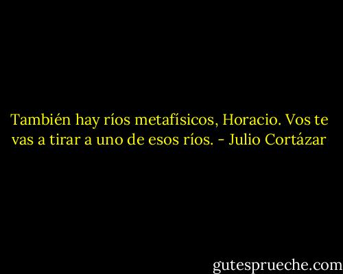 También hay ríos metafísicos, Horacio. Vos te vas a tirar a uno de esos ríos. - Julio Cortázar