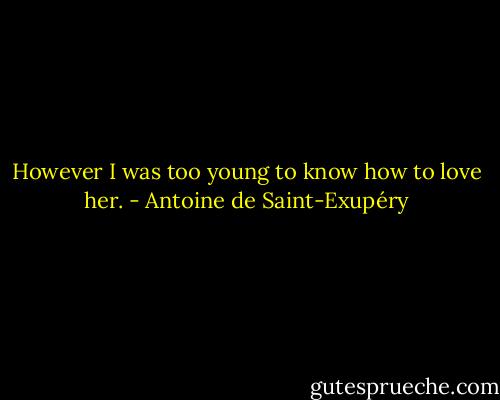 However I was too young to know how to love her. - Antoine de Saint-Exupéry