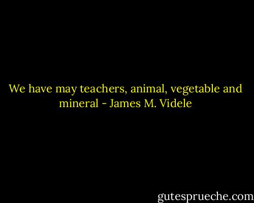 We have may teachers, animal, vegetable and mineral - James M. Videle