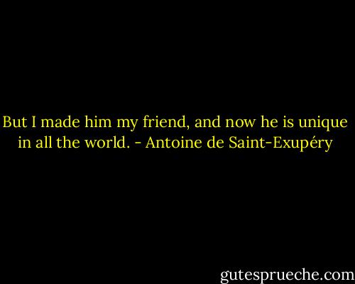 But I made him my friend, and now he is unique in all the world. - Antoine de Saint-Exupéry
