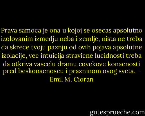 Prava samoca je ona u kojoj se osecas apsolutno izolovanim izmedju neba i zemlje, nista ne treba da skrece tvoju paznju od ovih pojava apsolutne izolacije, vec intuicija stravicne lucidnosti treba da otkriva vascelu dramu covekove konacnosti pred beskonacnoscu i prazninom ovog sveta. - Emil M. Cioran