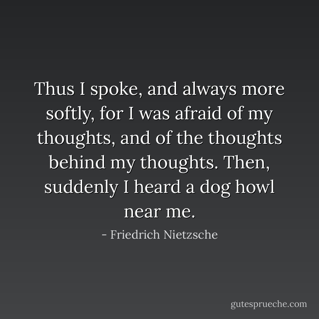 Thus I spoke, and always more softly, for I was afraid of my thoughts, and of the thoughts behind my thoughts. Then, suddenly I heard a dog howl near me. - Friedrich Nietzsche