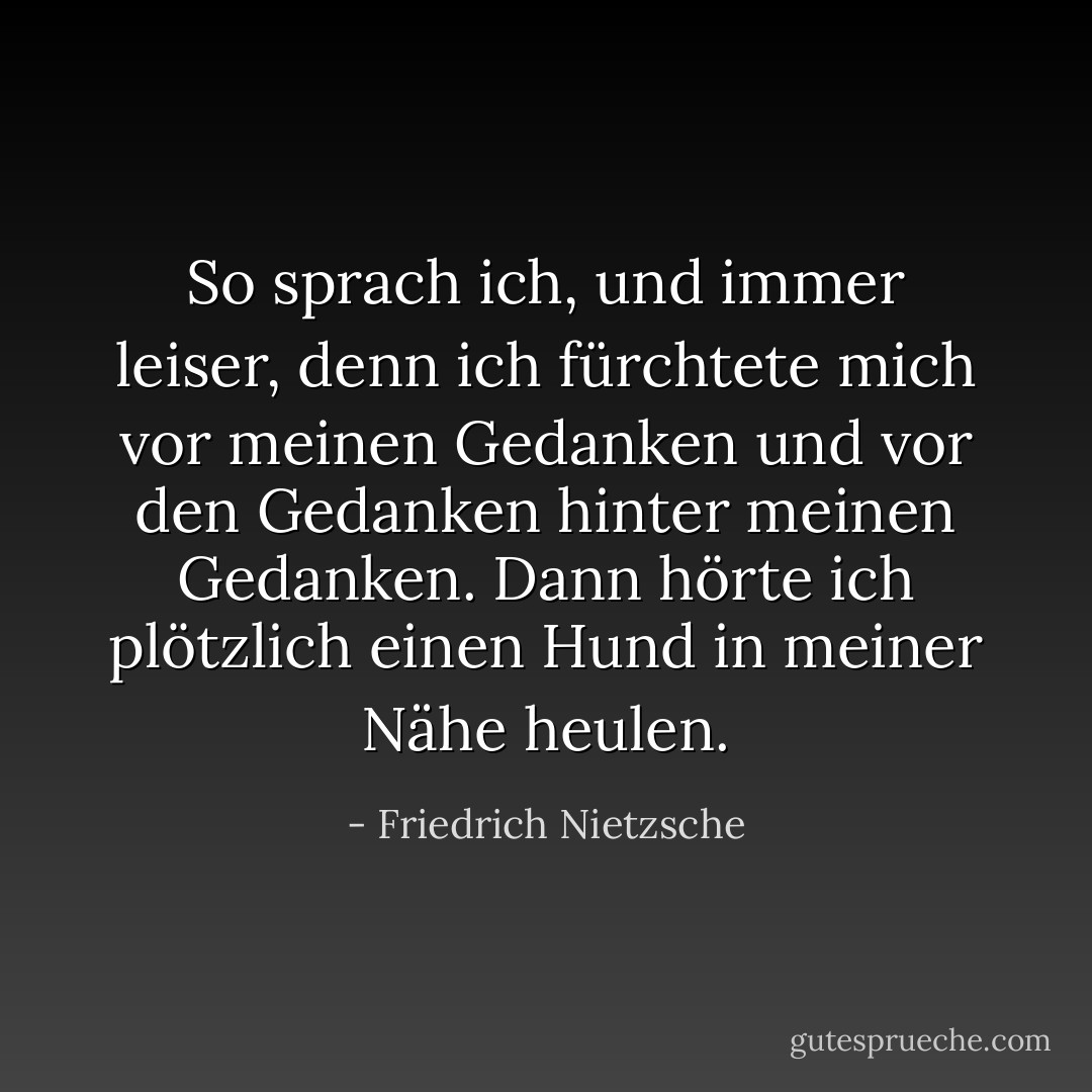 So sprach ich, und immer leiser, denn ich fürchtete mich vor meinen Gedanken und vor den Gedanken hinter meinen Gedanken. Dann hörte ich plötzlich einen Hund in meiner Nähe heulen. - Friedrich Nietzsche<