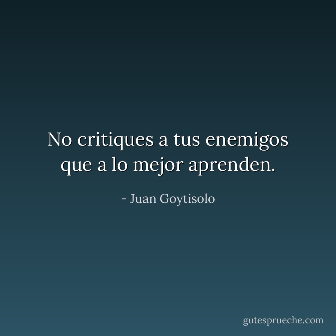 No critiques a tus enemigos que a lo mejor aprenden. - Juan Goytisolo