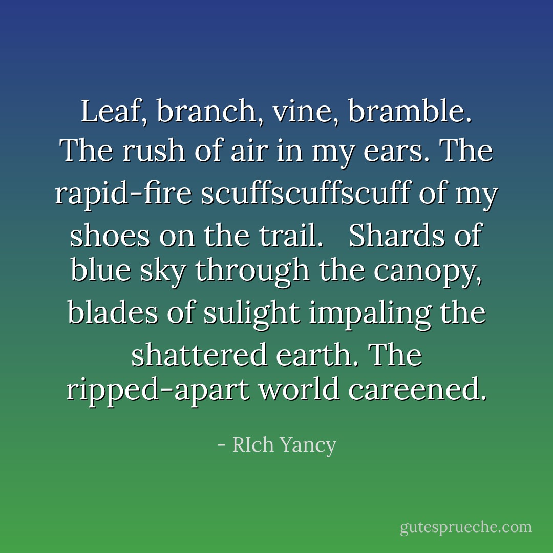 Leaf, branch, vine, bramble. The rush of air in my ears. The rapid-fire scuffscuffscuff of my shoes on the trail. <br /><br />Shards of blue sky through the canopy, blades of sulight impaling the shattered earth. The ripped-apart world careened. - RIch Yancy