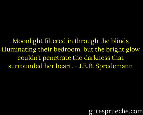 Moonlight filtered in through the blinds illuminating their bedroom, but the bright glow couldn’t penetrate the darkness that surrounded her heart. - J.E.B. Spredemann