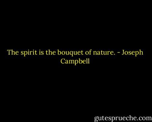 The spirit is the bouquet of nature. - Joseph Campbell