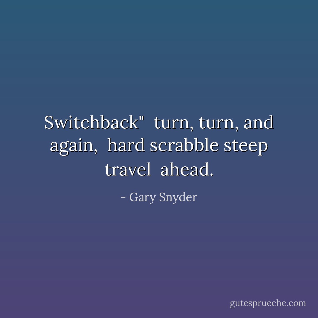 Switchback"<br /><br />turn, turn,<br />and again, <br />hard scrabble<br />steep travel <br />ahead. - Gary Snyder