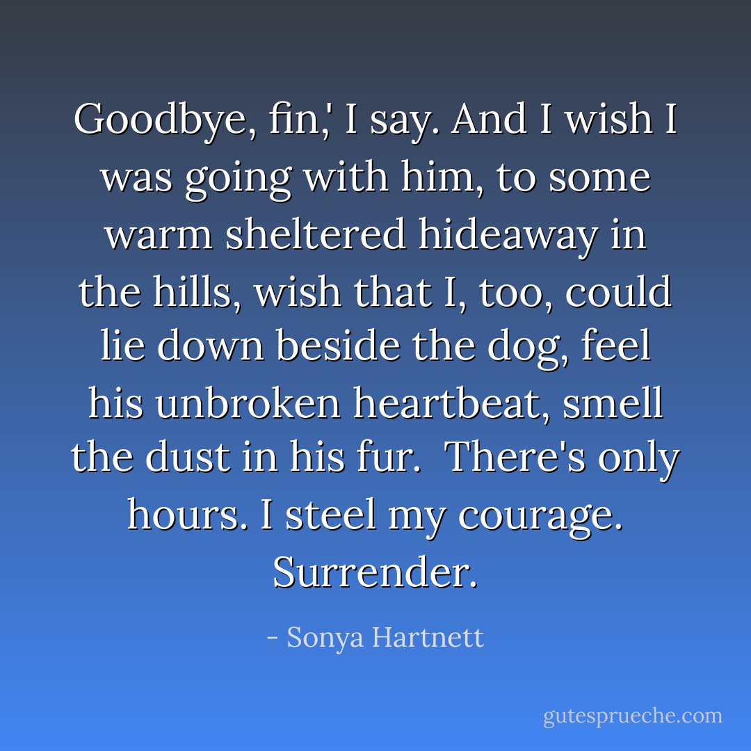 Goodbye, fin,' I say. And I wish I was going with him, to some warm sheltered hideaway in the hills, wish that I, too, could lie down beside the dog, feel his unbroken heartbeat, smell the dust in his fur. <br />There's only hours. I steel my courage.<br />Surrender. - Sonya Hartnett