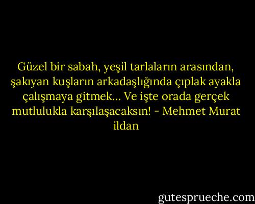 Güzel bir sabah, yeşil tarlaların arasından, şakıyan kuşların arkadaşlığında çıplak ayakla çalışmaya gitmek… Ve işte orada gerçek mutlulukla karşılaşacaksın! - Mehmet Murat ildan