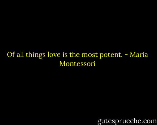 Of all things love is the most potent. - Maria Montessori