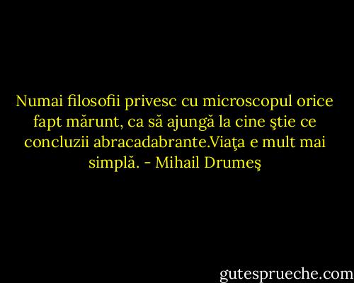 Numai filosofii privesc cu microscopul orice fapt mărunt, ca să ajungă la cine ştie ce concluzii abracadabrante.Viaţa e mult mai simplă. - Mihail Drumeş